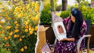 April blooming shrubs (And gorgeous garden decor!) by Soil and Margaritas | Home Gardener 7,627 views 3 weeks ago 9 minutes, 31 seconds