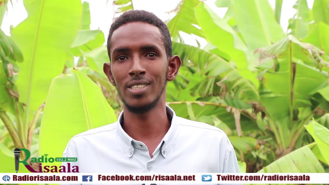 MAXAAD KALA SOCOTAA BEERAHA MOOSKA/MUUSKA EE KU YAALA JOWHAR.