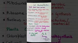 Cell structures and function GCSE BIology notes