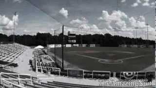 MLB 2014 Spring Training : Introducing the Regular Season
