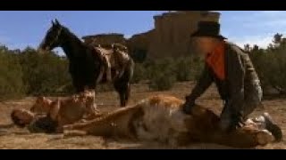 City Slickers Baby Cow Birth Scene.