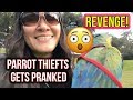 PRANKING PET THIEVES THAT WANTS TO STEAL MY BIRD!