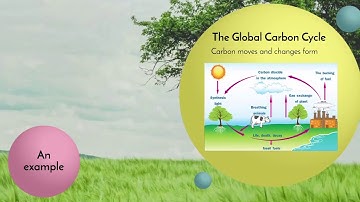 Huliau Climate Literacy Unit 1 Part 1: The Carbon Cycle