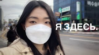 Vlog in Jeju_1월의 제주 브이로그