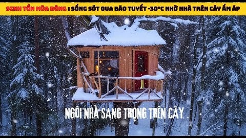 Sinh Tồn Mùa Đông: Sống Sót Qua Bão Tuyết -30°C Nhờ Nhà Trên Cây Ấm Áp +30°C