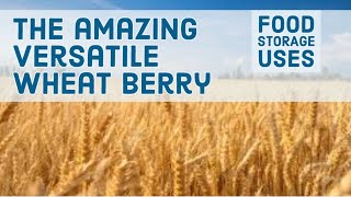 Food Storage: The Amazing Versatile Wheat Berry Food Storage: The Amazing Versatile Wheat Berry