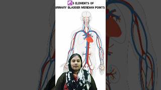 5 Elements of URINARY BLADDER Meridian Points