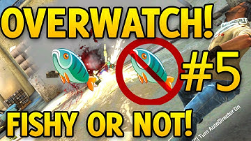 CS GO Overwatch FISHY OR NOT FISHY Episode 5