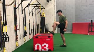 CM Box Jump
