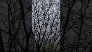Ноябрь 2025🫶 Музыка Toxis November  Альбом Heartbreak.