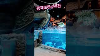 #크루즈여행 #중국.     #화하수족관