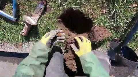 CURB STRIP CHAOS !! Episode 54. Simplex spots coins everywhere so lets do it.