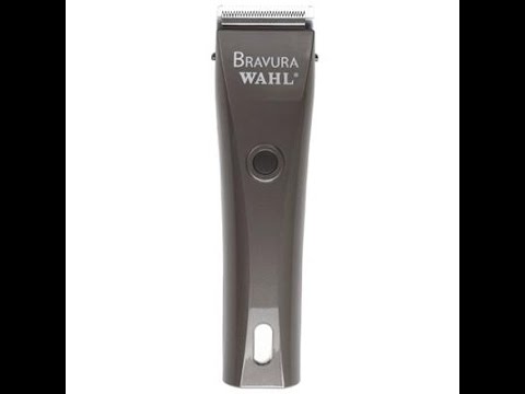 wahl bravura 41870 stores