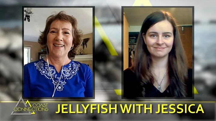 Why Jellyfish Matter, with Jessica Schaub - Coast ...