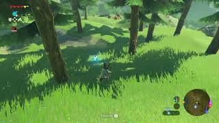 When you go Bowling in BOTW...