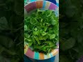 Girgir Arabic Salad With Corn 
