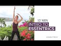 12 MIN Intro Workout | Essentrics