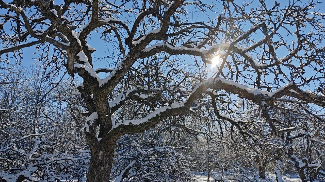 Однажды в деревне зимой...