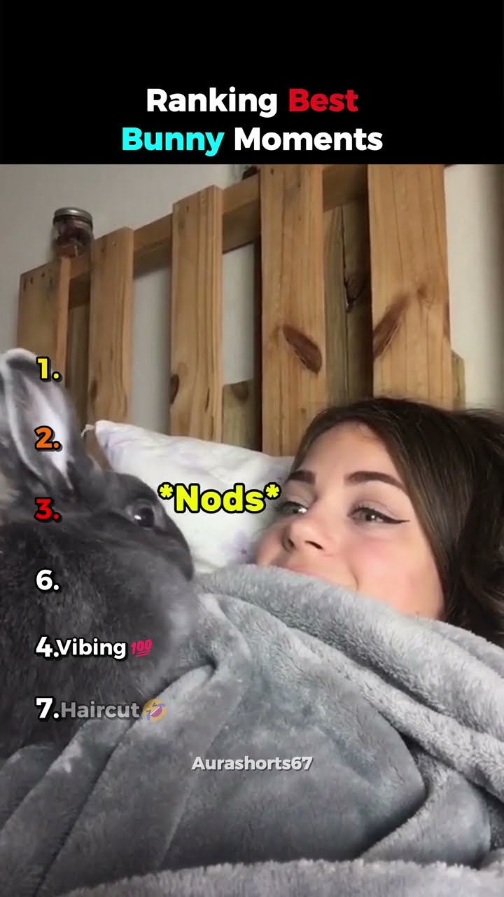 Ranking Best Bunny Moments