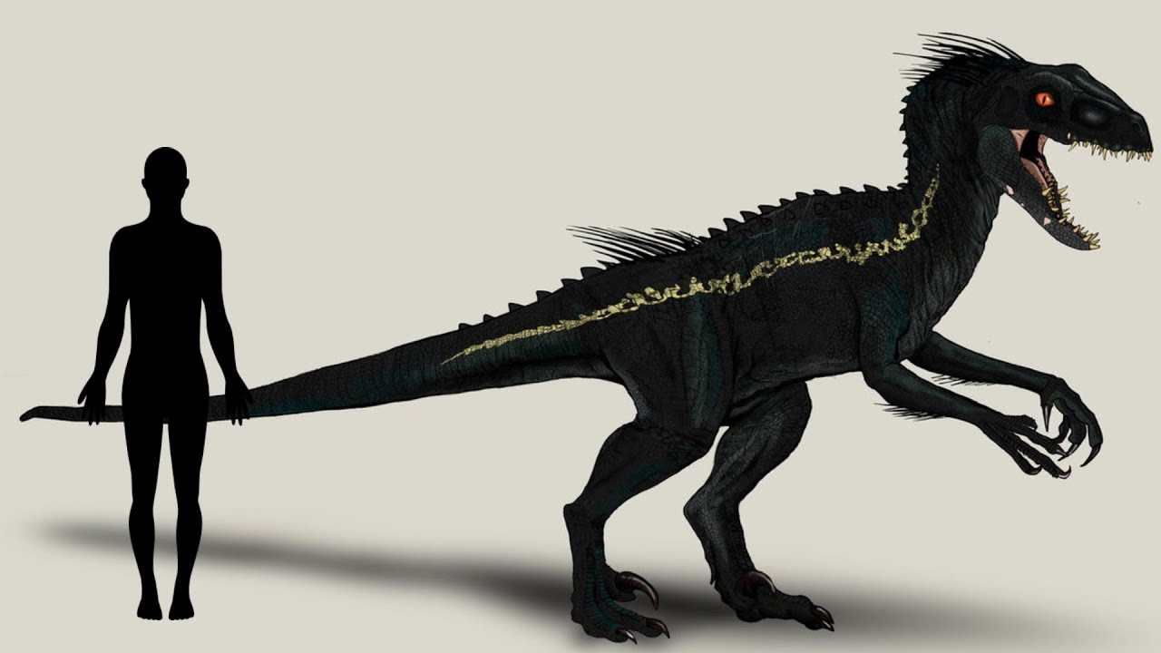 Jurassic World Fallen Kingdom Size Chart