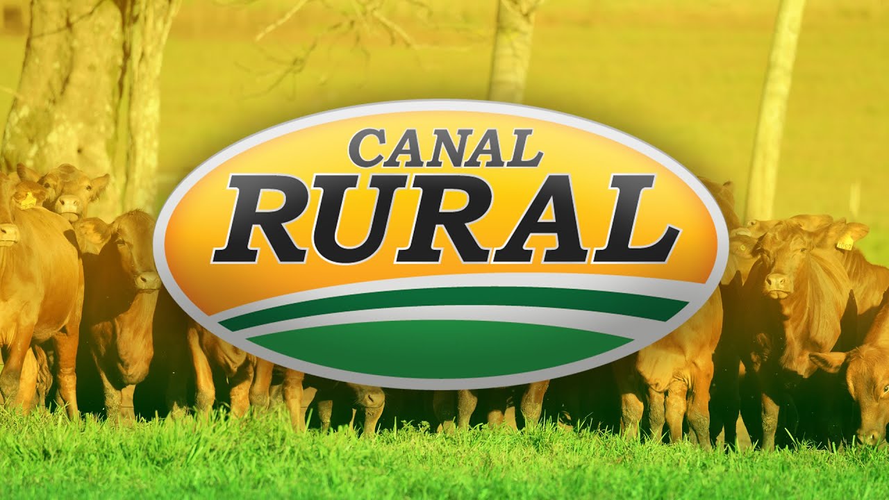 CANAL RURAL EN VIVO - YouTube