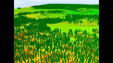 FRA Nepal Forest Lidar Visualization - Block F