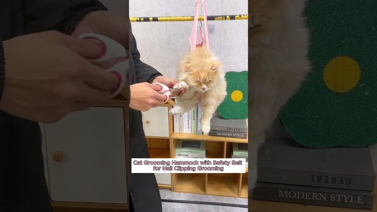 Cat Grooming Hammock with Safety Belt for Nail Clipping Grooming. 