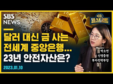 중앙은행 달러 대신 금을 사는 중 2023년을 결정할 경제 변수 분석 Ft 박소연 투자전략부장 경제자유살롱 Sbs Economy 