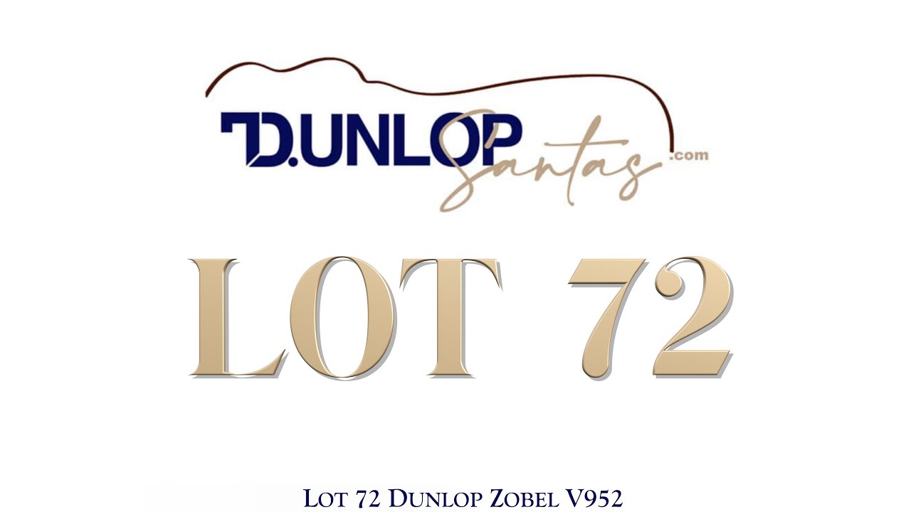 Lot 72 Dunlop Zobel V952