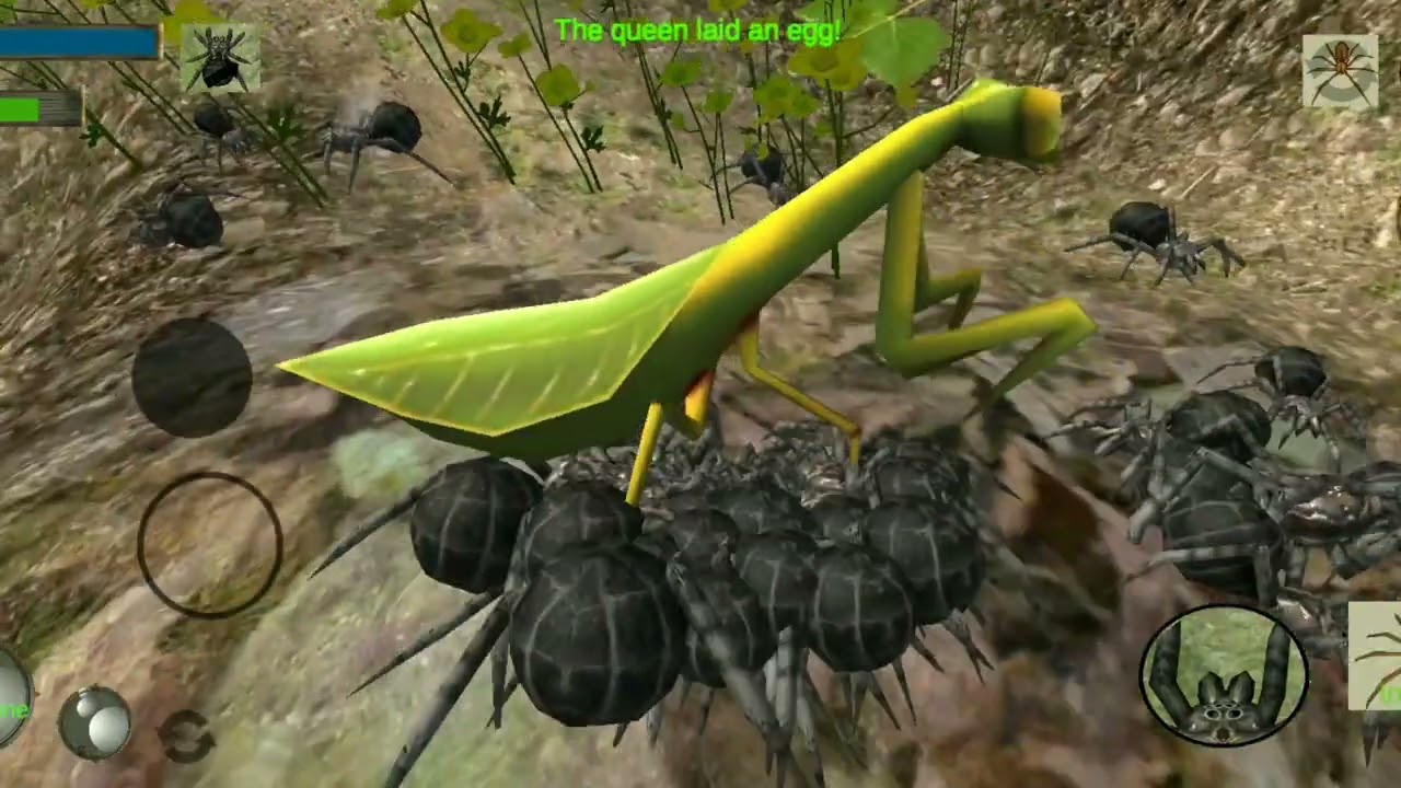 tarantula eat mantis//gamply simulation spider