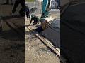 Satisfying Asphalt Work | Original Footage #construction #japan #originalcontent #roadwork #paving
