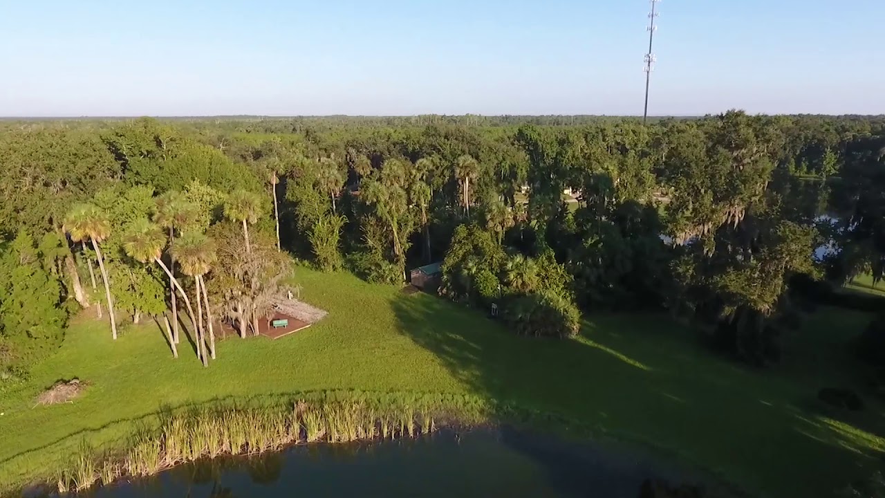 1561 Cow Creek Road, Edgewater, FL 32132 YouTube