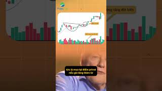 MÔ HÌNH KIỂM SOÁT VỊ THẾ TRONG CANSLIM