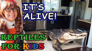Famous Reptiles for Kids | Reptile Toys Come Alive! Net Worth