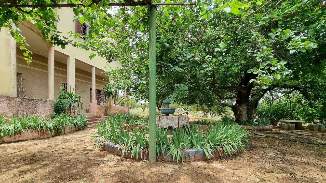 ضيعة فلاحية للبيع بسبع عيون واد الجديدة بين فاس ومكناس 17 هكتار ونصف FERME À VENDRE À FÉS SBAA 3YOUN