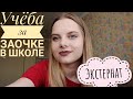 Мой опыт|Экстернат| Домашнее обучение|заочка