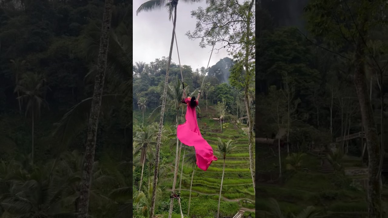 Mini Vlog : Finally Did the Bali Swing | Coffee Plantation in Ubud #youtubeshorts #shorts #minivlog
