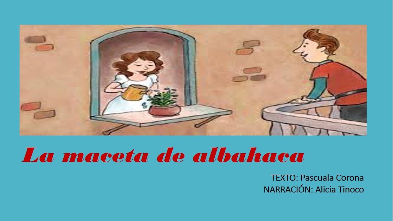 La maceta de Albahaca - YouTube