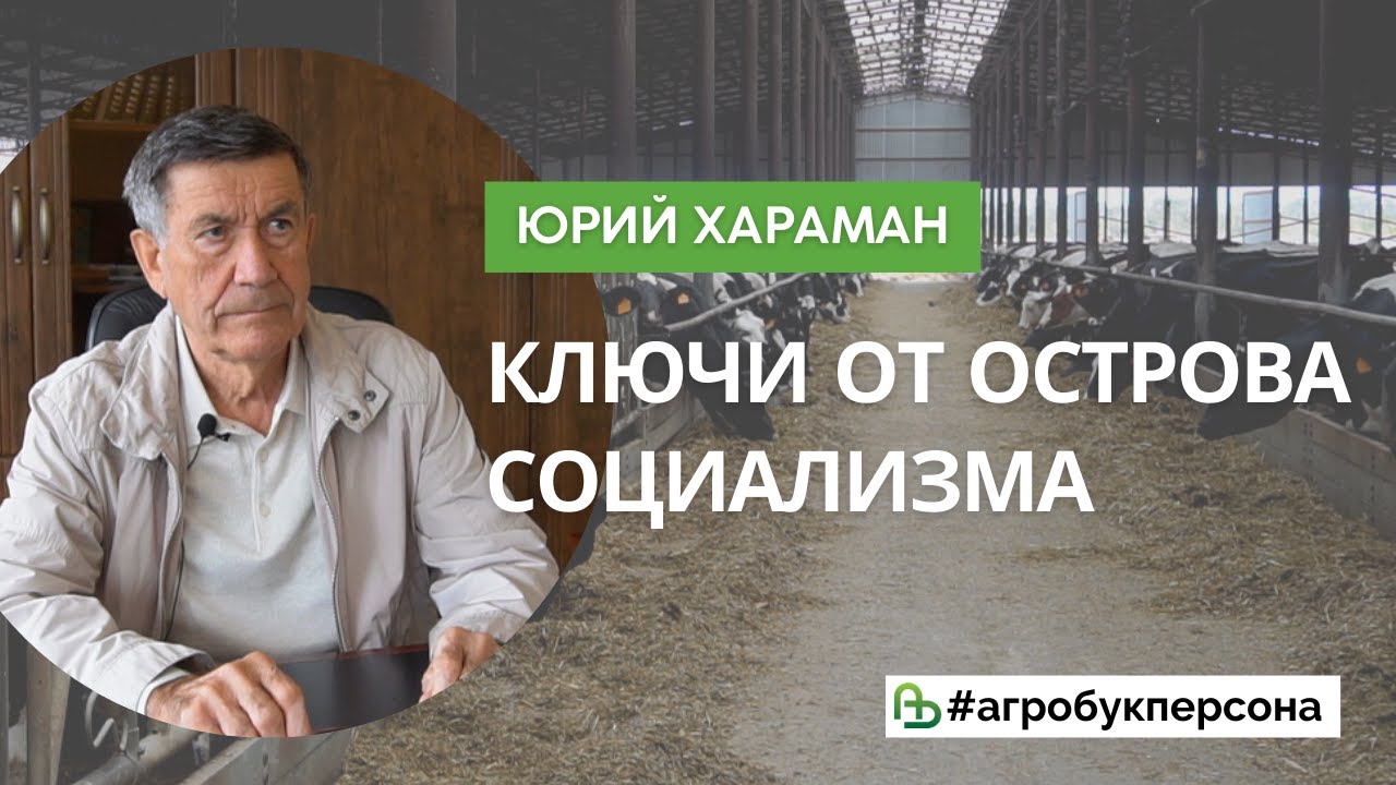 Предпросмотр