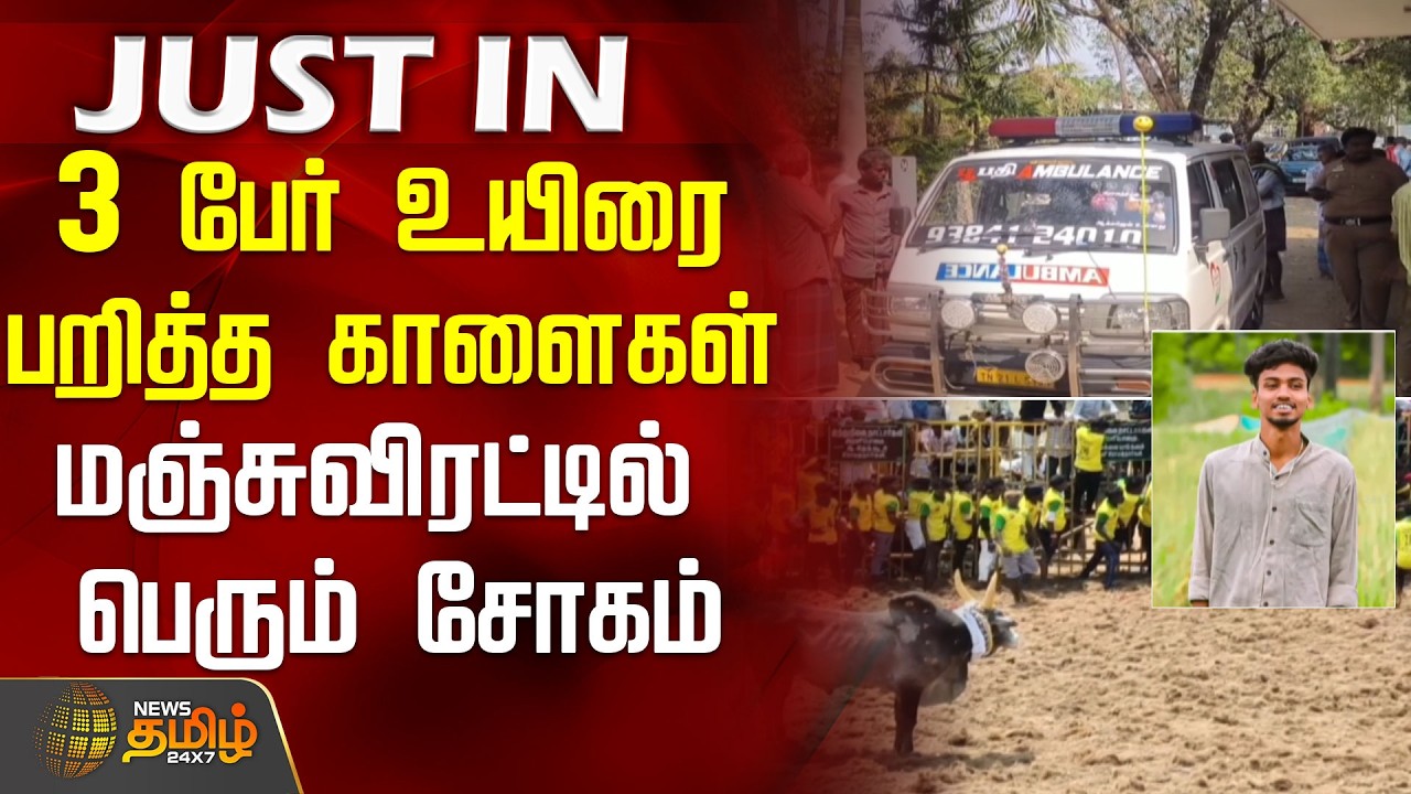 3 பேர் உயிரை பறித்த காளைகள்.. மஞ்சுவிரட்டில் பெரும் சோகம் | sivagangai | jallikattu