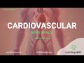 Trending in Cardiovascular: Triformis Resilia, Thunderbolt and more