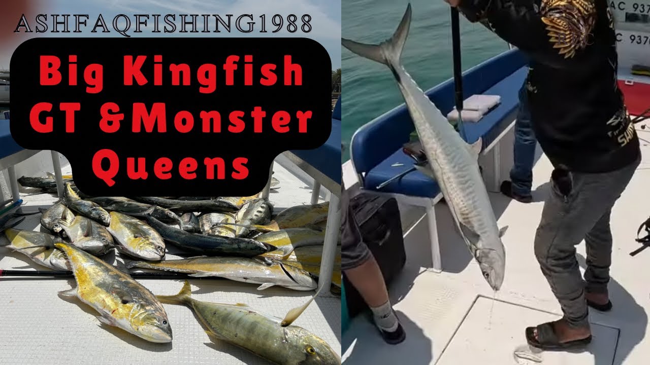 What a Fishing Day😉😉| Abu dhabi fishing | King|Queen|Travally |Best fishing spot