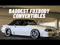 BEST FOXBODY CONVERTIBLES IN THE WORLD