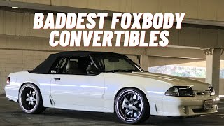 BEST FOXBODY CONVERTIBLES IN THE WORLD