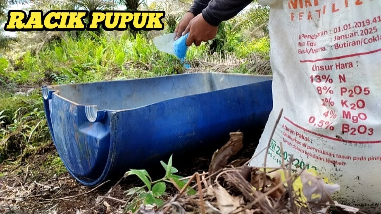 Racikan PUPUK NPK mahkota' sama PUPUK Cu dan PUPUK borax Jadi PUPUK cair