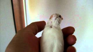 DSCF6874.AVI