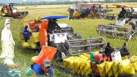 máy cắt 108X binh tóc độ mở đồng cắt lúa ô em 18 giá bán được 5700₫K # maibangtv 