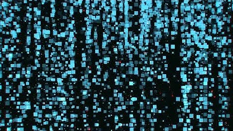 Digital Square Dots Background Stock Motion Graphics