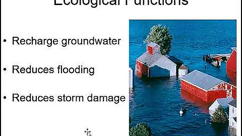 Wetlands Ecological Functions