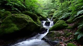 Deep Sleep in Minutes with Flowing River and Gentle Birdsong